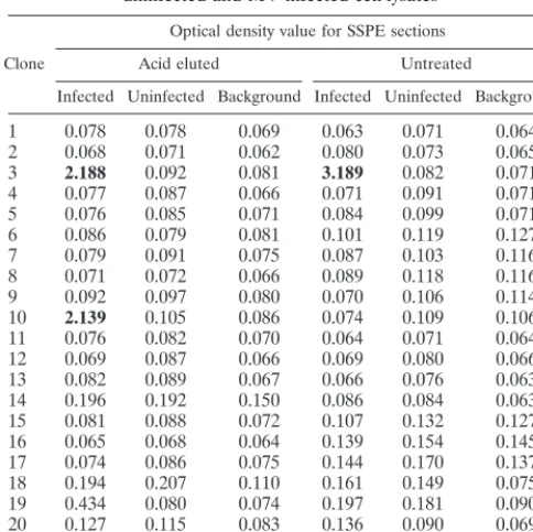 TABLE 1. Binding of soluble Fabs from panned SSPE library touninfected and MV-infected cell lysatesa