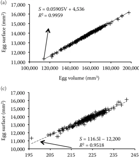 Fig. 7. The correlation between (a) values of egg surface area (Eqs 11 and 6), (b) the egg surface area vs