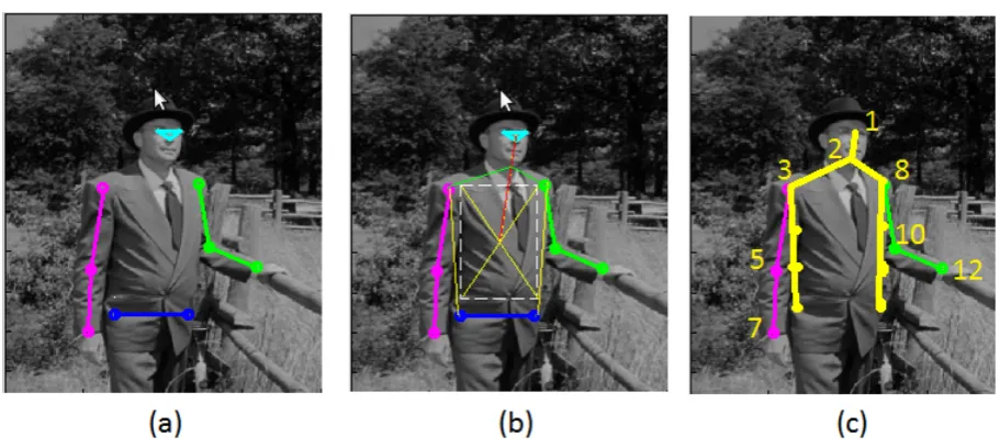 Figure 2.6: A body-conﬁguration sample annotation from the FLIC dataset: (a) presents thepose annotation (b) drawn lines for augmenting the training data (c) presents the ﬁnal augmentedground-truth over training data