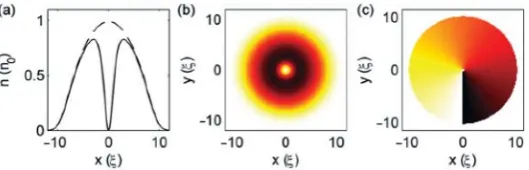 Figure 1.3: Density (a-b) and phase (c) proﬁle of a vortex as calculated inte-grating the 2D Gross-Pitaevskii equation, from N