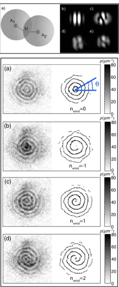 Figure 2.4: In the top panel the fringe patterns obtained through a matter-wave interferometer of a splitted condensate are shown in the absence(b,d) and presence (c,e) of a vortex, from Chevy 2007