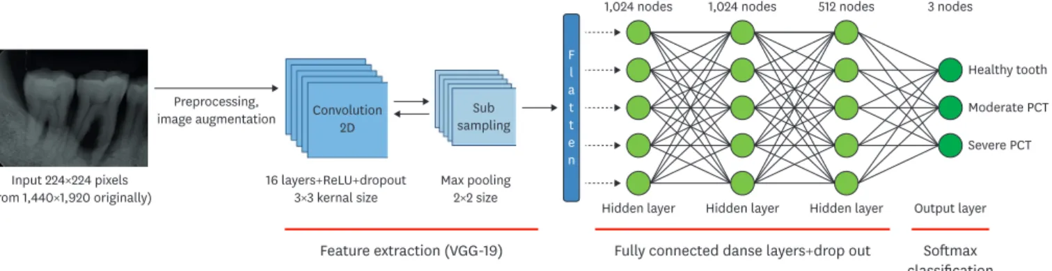 Figure 1. Overall architecture of the deep CNN model. The dataset for the PCT images (224×224 pixels) is labeled as the input