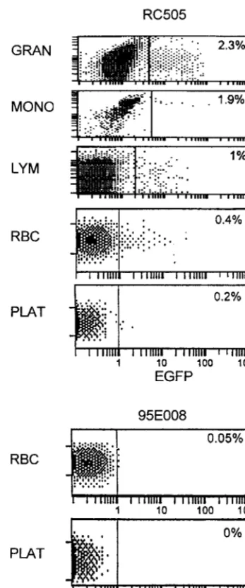 TABLE 2. EGFP expression after activation of PBMNa