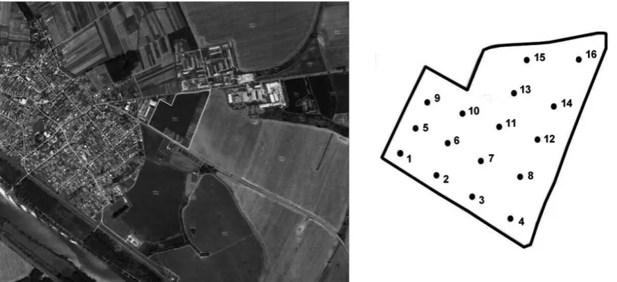 Table 4. Quality of grain in the storage tank of the collector (n = 230/min)