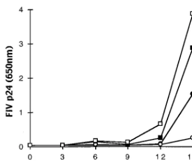 FIG. 2. Kinetics of FIV replication in CD4�stimulated with ConA for the ﬁrst 3 days. Cells were cultured in completeRPMI-1640 supplemented with 100 U of hr IL-2 per ml at a concentration of 510Data are for FIV-infected cat 306 CD4circles) T cells and FIV-i