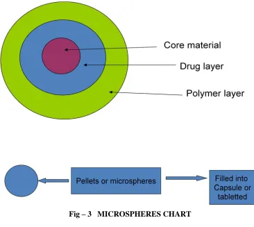 Fig – 3   MICROSPHERES CHART 