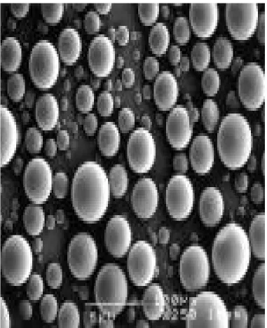 Fig -7  microspheres 