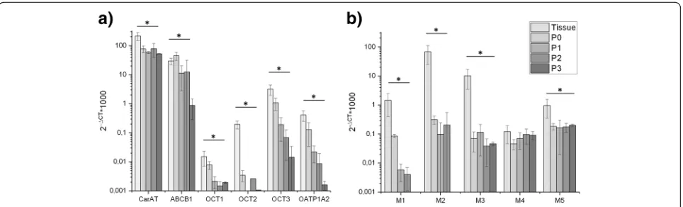 Fig. 4 Relative gene expression in the urothelium from German Landrace pigs (“Tissue”) as well as derived UCs (“P0-P3”) (n = 3)