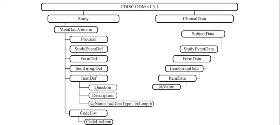 Fig. 1 Sections of CDISC ODM with study metadata information left-hand side and structure of clinical values on the right