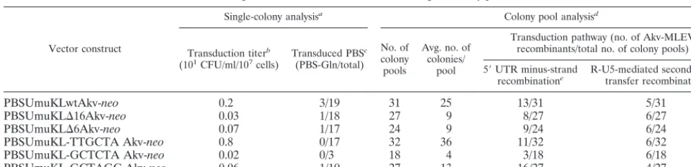 TABLE 1. Replication efﬁciencies of kissing-loop-modiﬁed vectors and detection of recombination with MLEV by analysisof single colonies and PCR-based screening of colony pools