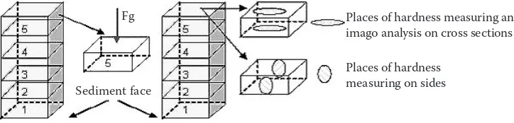 Fig. 1. Cutaway diagram