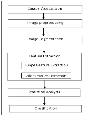 Fig -6: Stages for classification of cotton leaf spot  diseases 