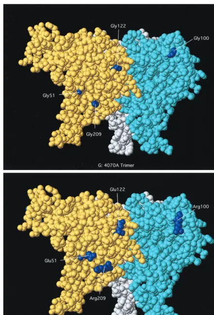 FIG. 6—Continued.
