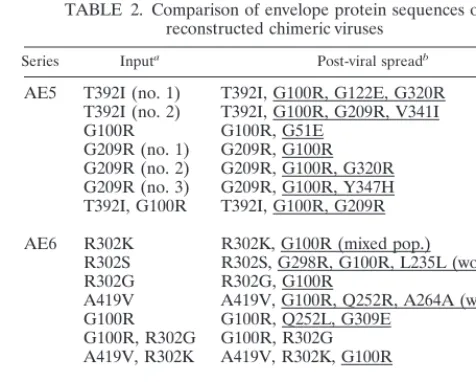 FIG. 4. Pulse-chase analysis of envelope proteins after transfection and transient expression