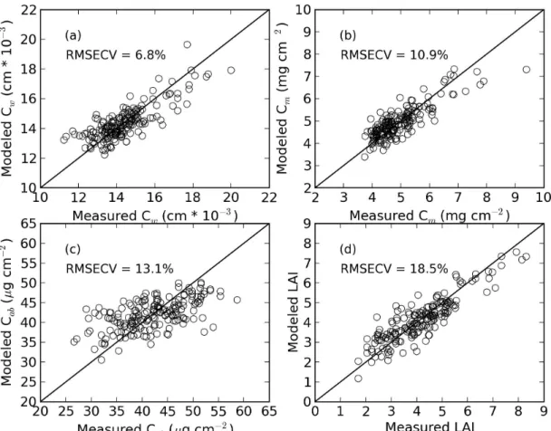 Figure 5: Modeled versus measured a) leaf water content (C w ), b) specific leaf mass (C m ), c) leaf chlorophyll a + b content (C ab ), and d) leaf area index (LAI)
