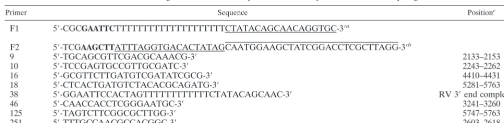 TABLE 1. Oligonucleotides used to prime ﬁrst-strand synthesis and thermal cycling