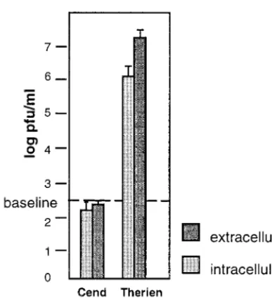 TABLE 2. Binding of sucrose density-puriﬁed 35S-labelledsupernatant virus to SC and Vero cellsa
