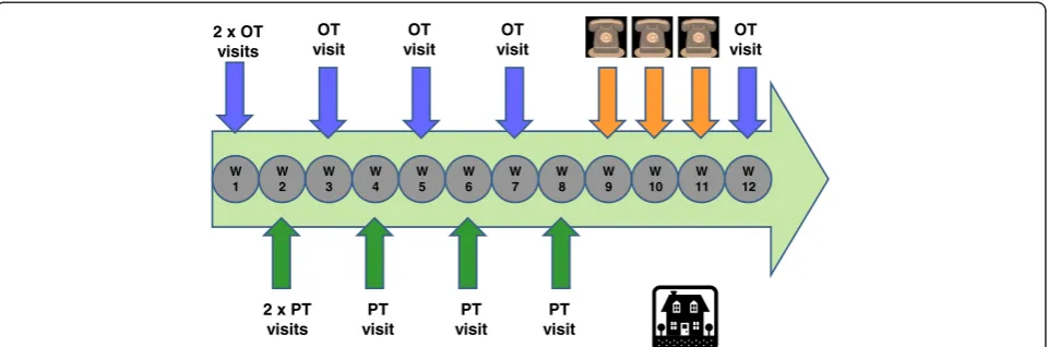 Figure 1 Intervention schedule: occupational therapy (OT), physiotherapy (PT) visits and phone calls over 12 weeks.
