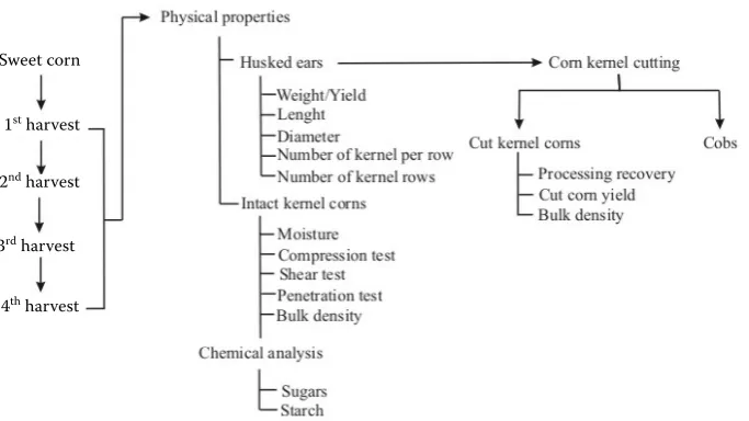 Figure 1. The chart of experimental design