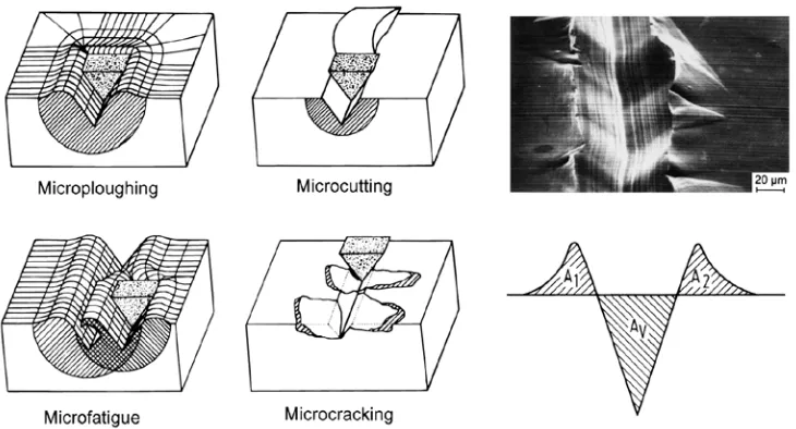 Figure 4. Interaction between slid-ing hard or soft abrasive particles and reinforcing phases (Zum Gahr 1998)