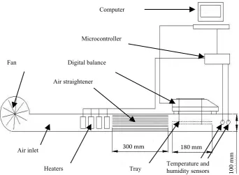 Figure 1. Scheme of thin-layer drying equipment