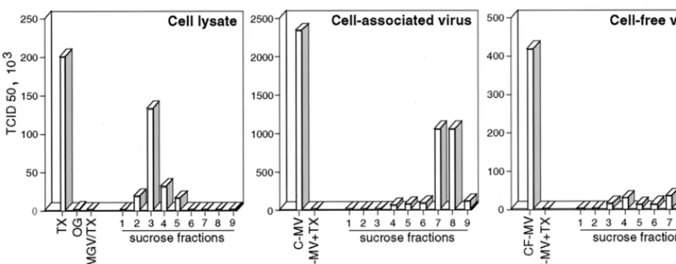 FIG. 7. Raft fractions contain infectious material distinct from mature viral particles