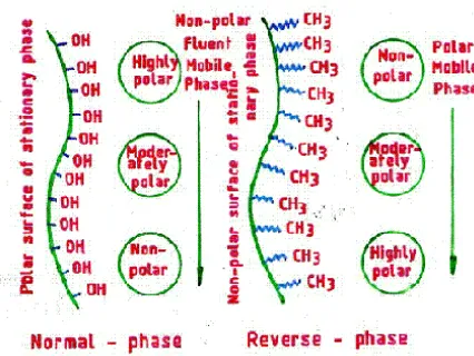 Fig. 1 Skeleton of Normal and Reverse phases 