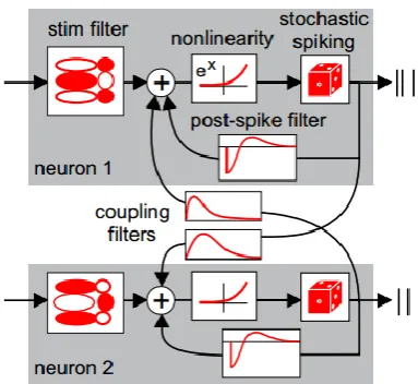 Figure 1.5: Illustration of the generalized linear model (GLM) for two neuron network