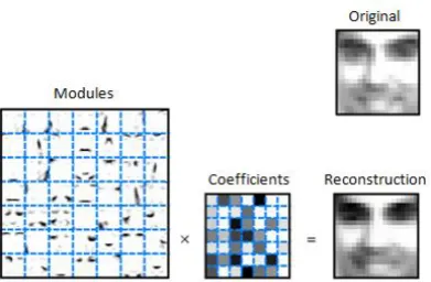 Figure 2.1: Illustration of two-factor NMF applied on a facial image dataset and the reconstruction of an image using underlying modules