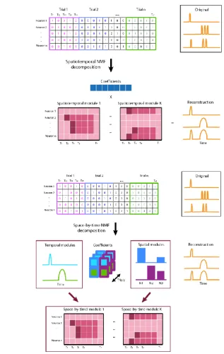 Figure 2.2: Illustration of spatiotemporal NMF and space-by-time NMF models. A: Spatiotemporal NMF model