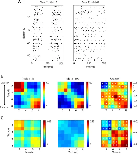 Figure 2.4: Changes observed in the neural responses of auditory neurons between the two levels of synchronization
