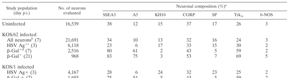 TABLE 1. Infected neuronal populations of the TG