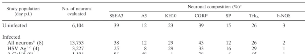 TABLE 2. KOS/62-infected neuronal populations of DRG