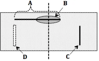 Figure 3. An asymmetrical horizontal line (A) can give symmetrical key points (B); whereas a vertical line (C) cannot, unless it matches another line (D) on the other side