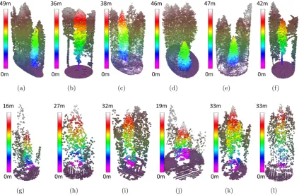 Figure 2.9: Qualitative example of tree crown segmentation obtained in the dominant layer of the forestfor: (a)-(f) the very high-density LiDAR data, and (g)-(l) the high-density LiDAR data