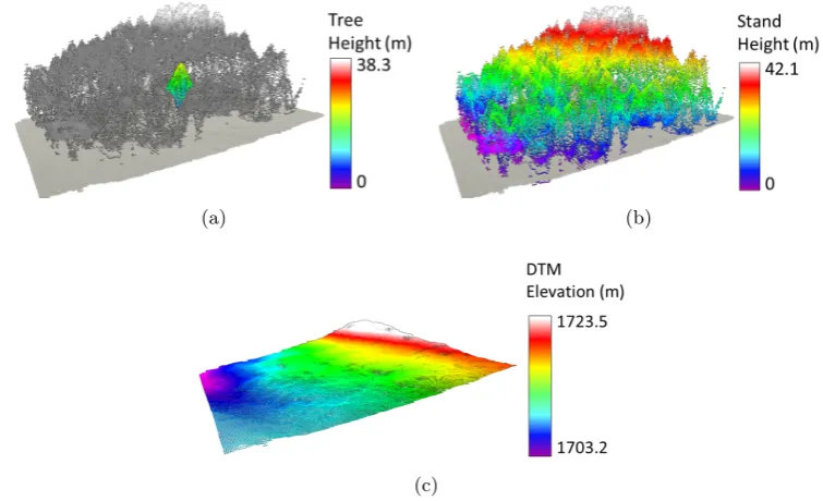 Figure 3.2: Visual representation of the variables extracted to model the growth of the tree stems interms of: (a) the structure of the crown xTree, (b) the forest stand xPlot, (c) the topography xDtm.