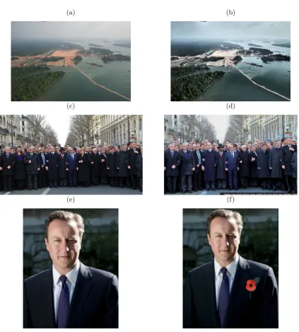Figure 1.1: Example of modiﬁed images on the web.