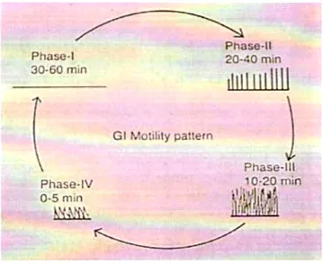 Fig 2 Gastro intestinal motility attterm  