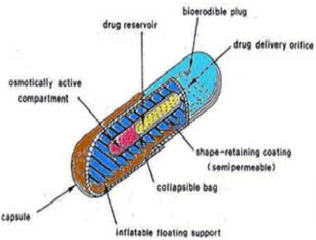 Fig: 12 Intragastric osmotically controlled drug delivery system 