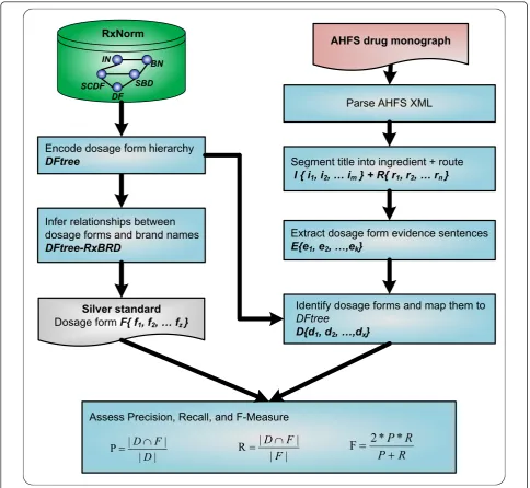 Figure 1 Workflow for dosage form identification and performance evaluation. Abbreviations: IN: Ingredients; BN: Brand Name; SCDF:Semantic Clinical Drug Form; SBD: Semantic Branded Drug Form; DF: Dosage Form.