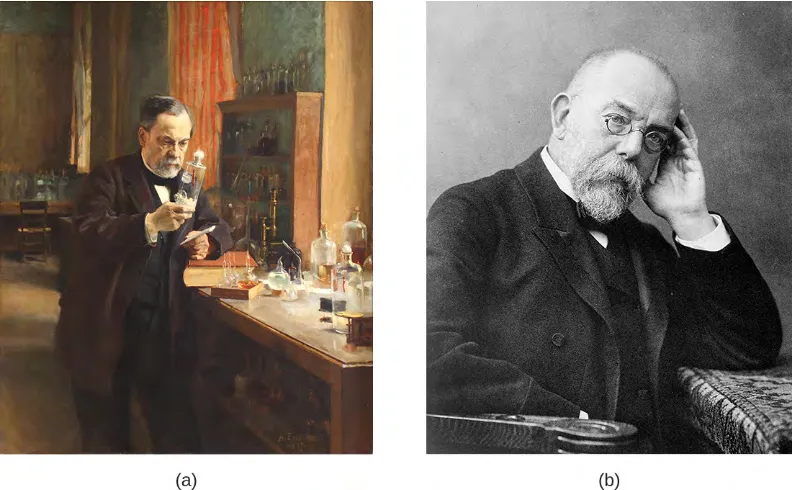 Figure 1.6 (a) Louis Pasteur (1822–1895) is credited with numerous innovations that advanced the fields ofmicrobiology and immunology