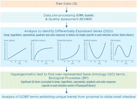 Figure 3.2 Schematic representation of workflow adopted for the analysis of microarray data