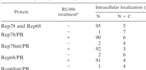TABLE 1. Effects of RU486 on the intracellular distribution offull-length Rep78 and Rep68 fused with PR891-HBD