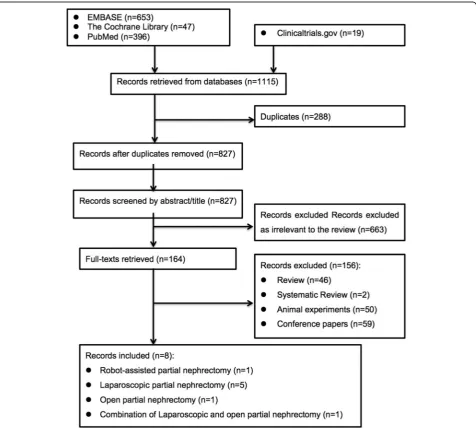 Fig. 1 Flow diagram of the detailed selection process