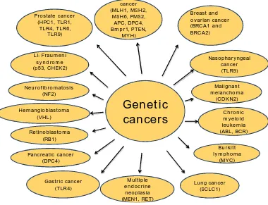 Fig:2 Represents the various cancers through genetic mutation 