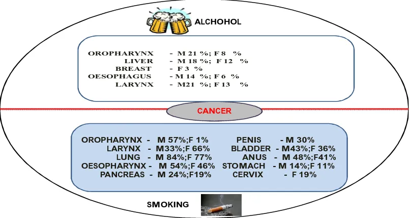 Fig 7 represents Cancers that have been linked to alcohol and smoking 
