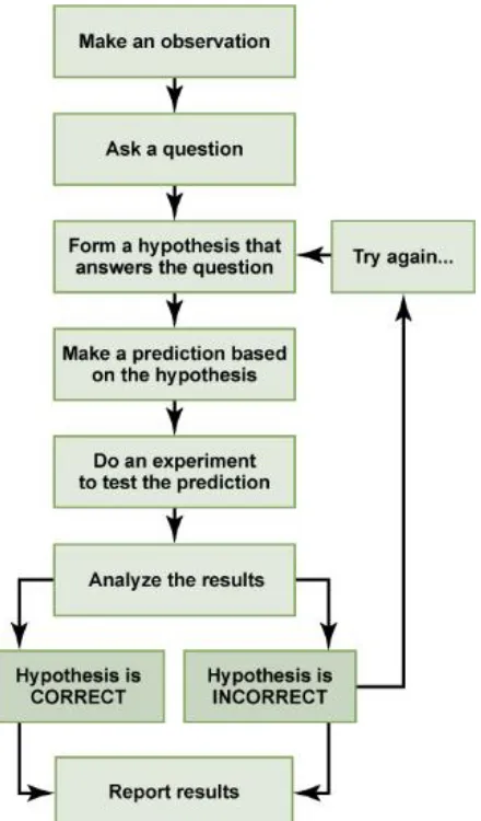 Figure 1.7. The scientific method consists of a series of well-defined steps. If a hypothesis is not  supported by experimental data, a new hypothesis can be proposed