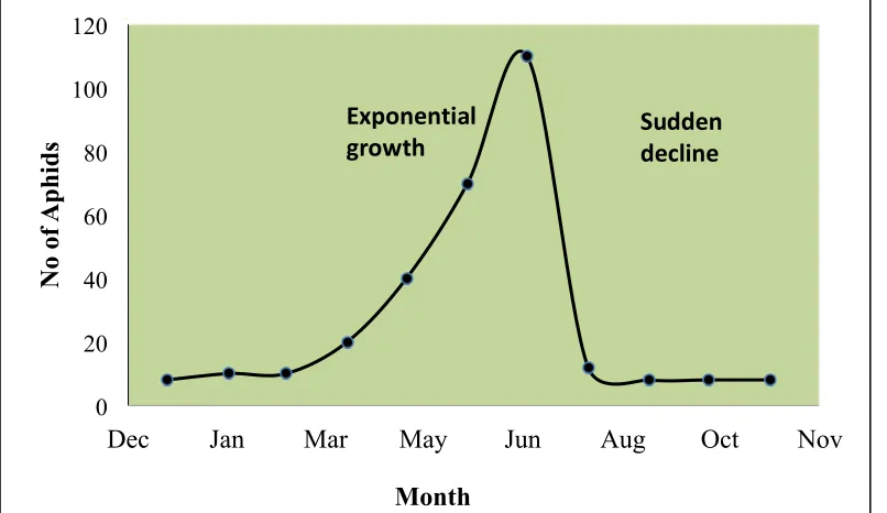 Figure 2.6   This insect undergoes exponential growth in the early spring and then rapidly die off when the weather              : Weather change acting as a density-independent factor limiting aphid population growth