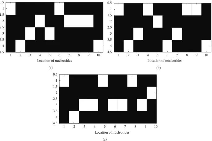 Figure 2: (a) Image of the Voss mapped sequences for the first ten EGFR nucleotides. (b) Image of Voss mapped sequences for the first ten KRAS nucleotides (c) Image of Voss mapped sequences for the first ten TP53 nucleotides.