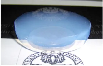 Figure 1-1: Silica aerogel disk produced as a reference 